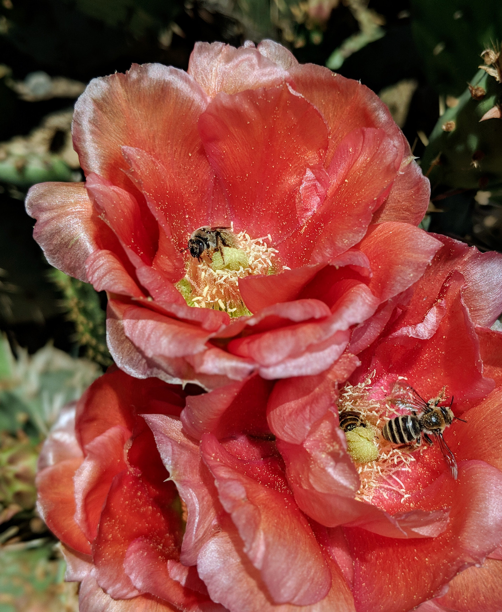Google Pixel 2 XL sample photo