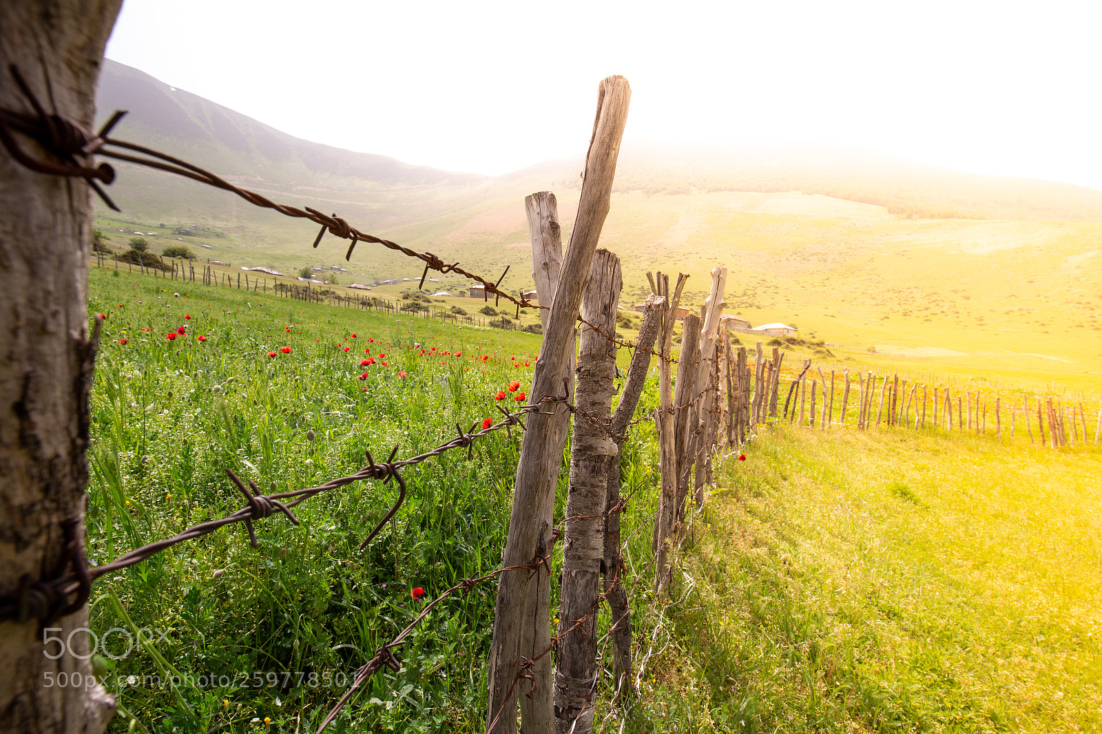 Canon EOS 6D sample photo. Khalkhal photography