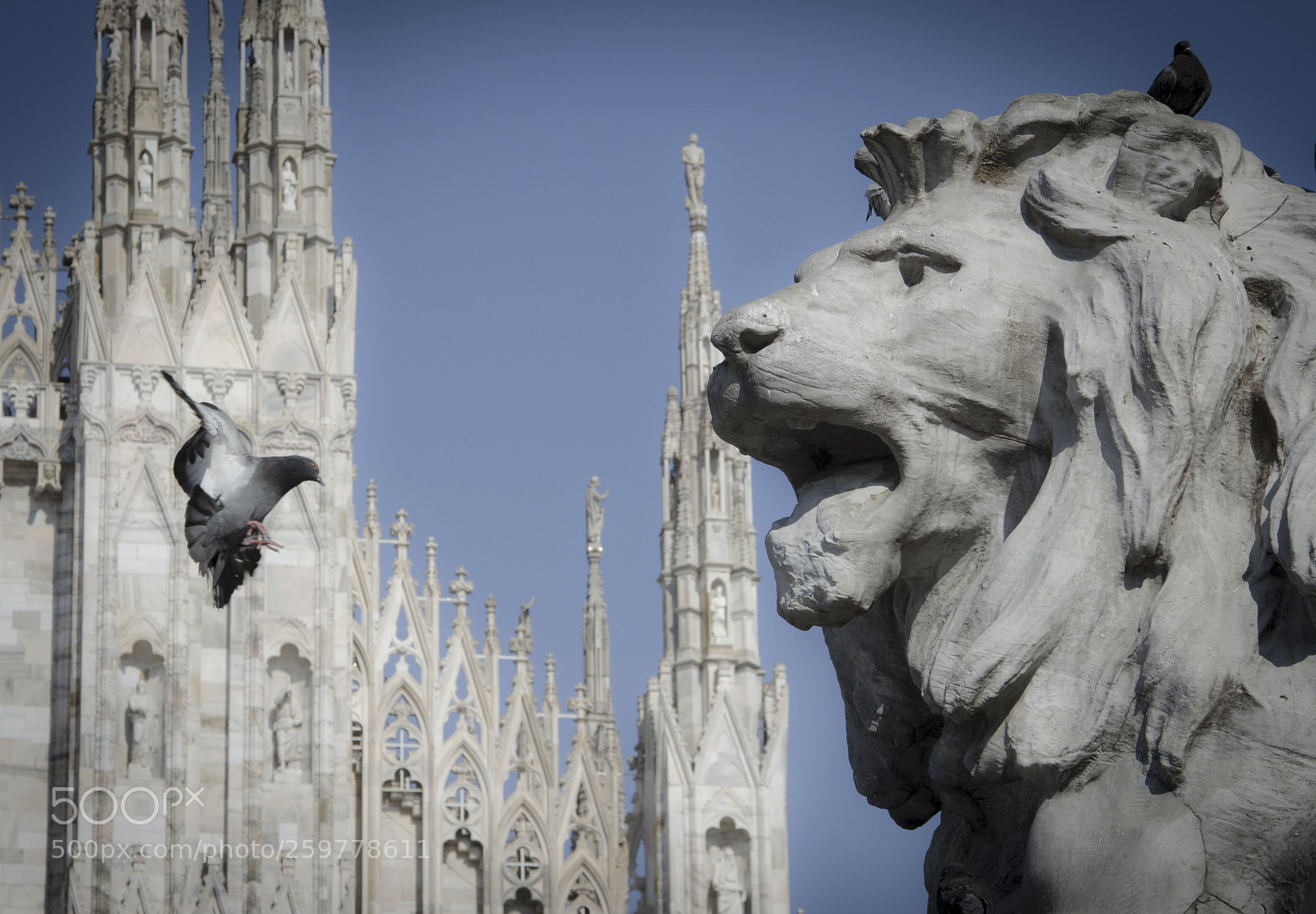 Nikon D7200 sample photo. Milan photography