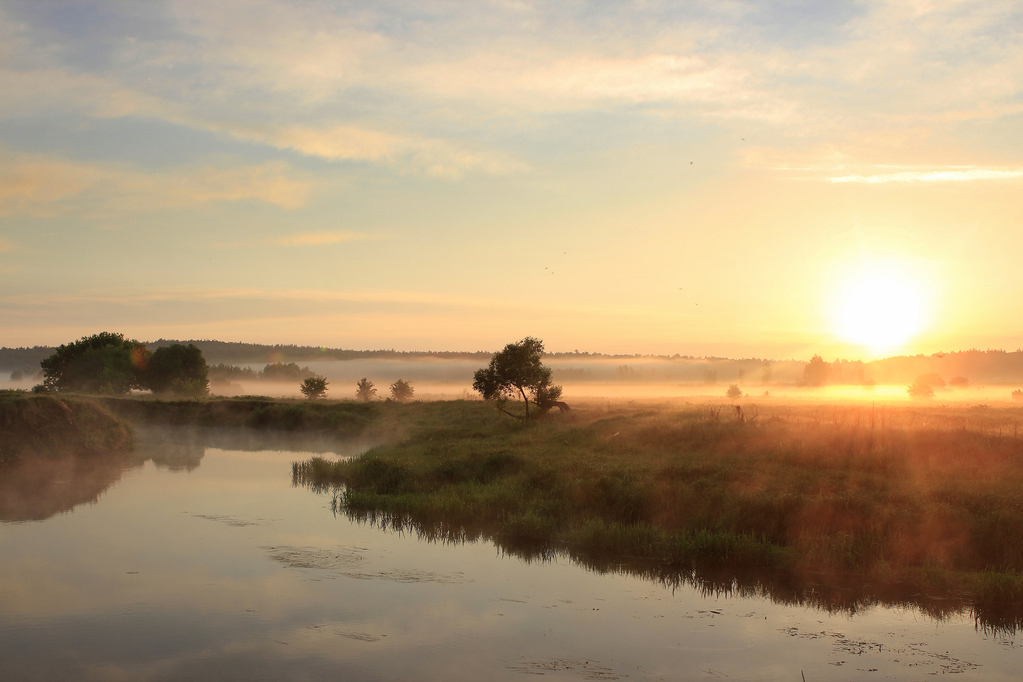 Canon EOS 600D (Rebel EOS T3i / EOS Kiss X5) sample photo. Spring in ukraine. photography