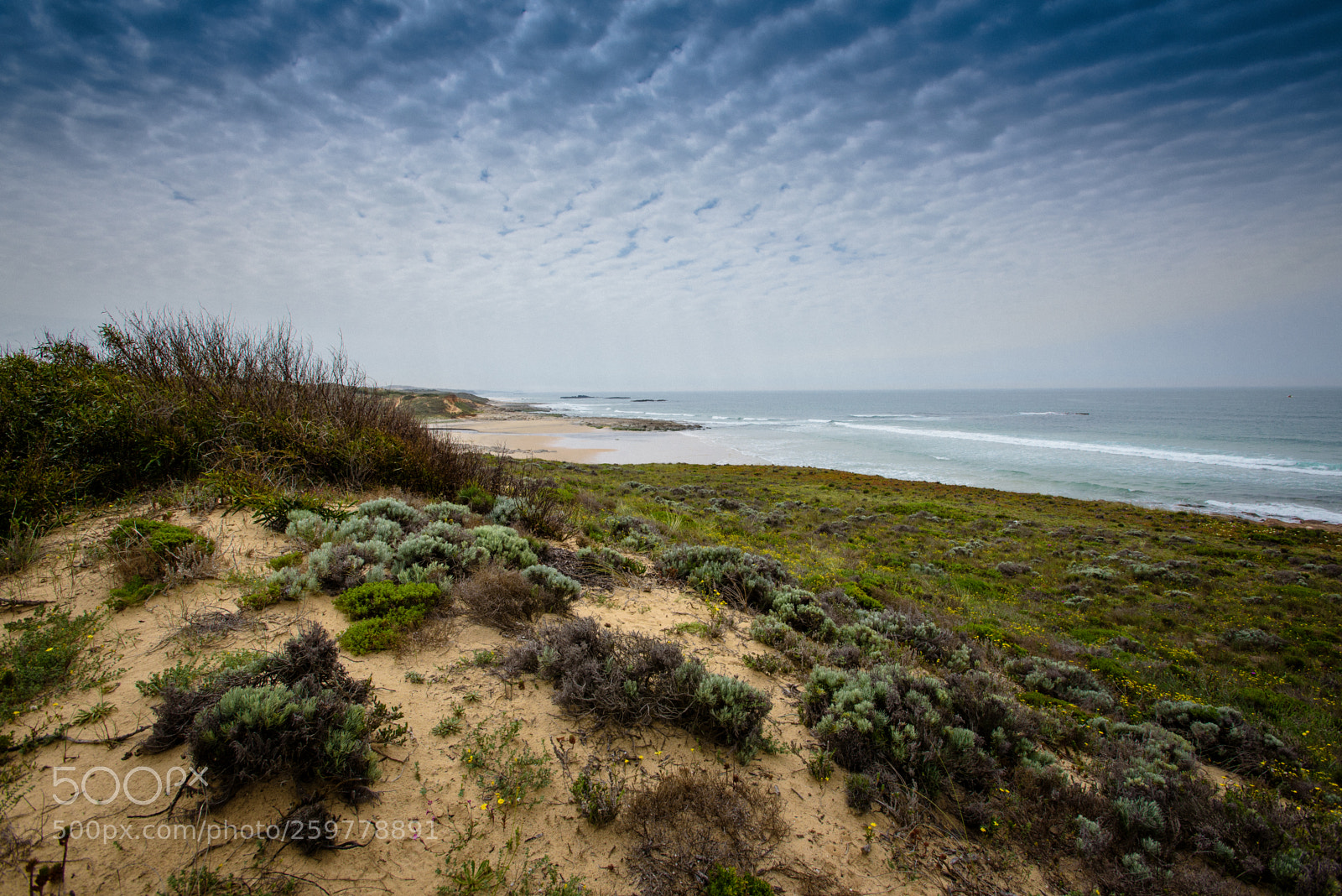Nikon D750 sample photo. Clifftop photography
