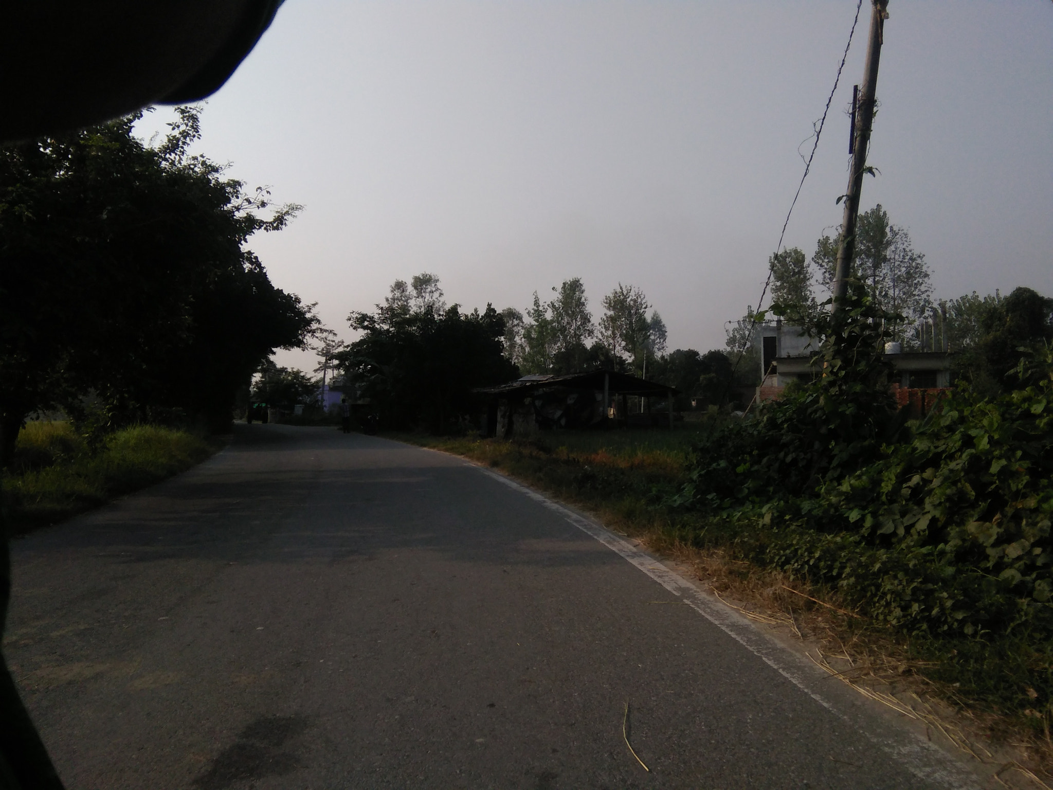 OPPO A33f sample photo