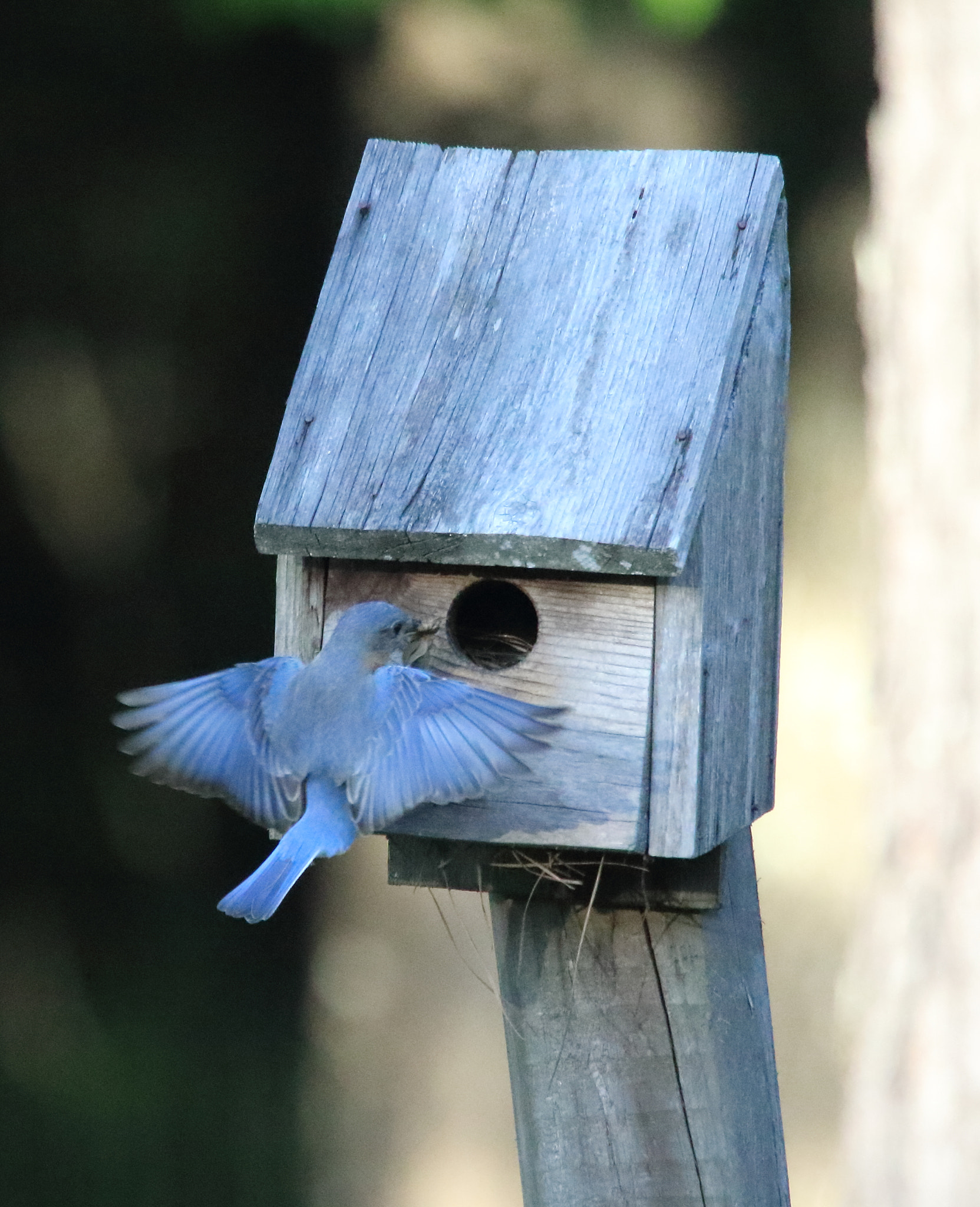 Canon EOS 7D Mark II sample photo. 1214.jpg photography