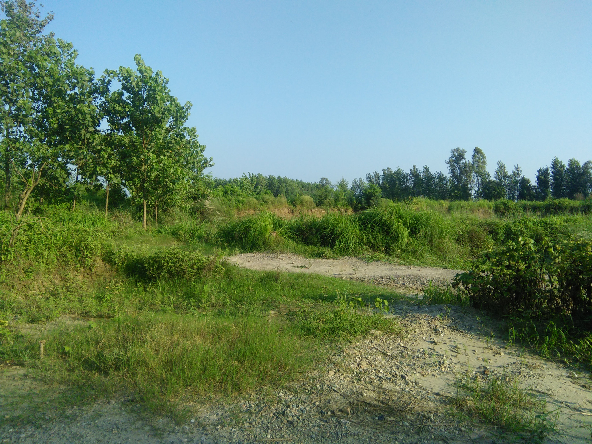 OPPO A33f sample photo