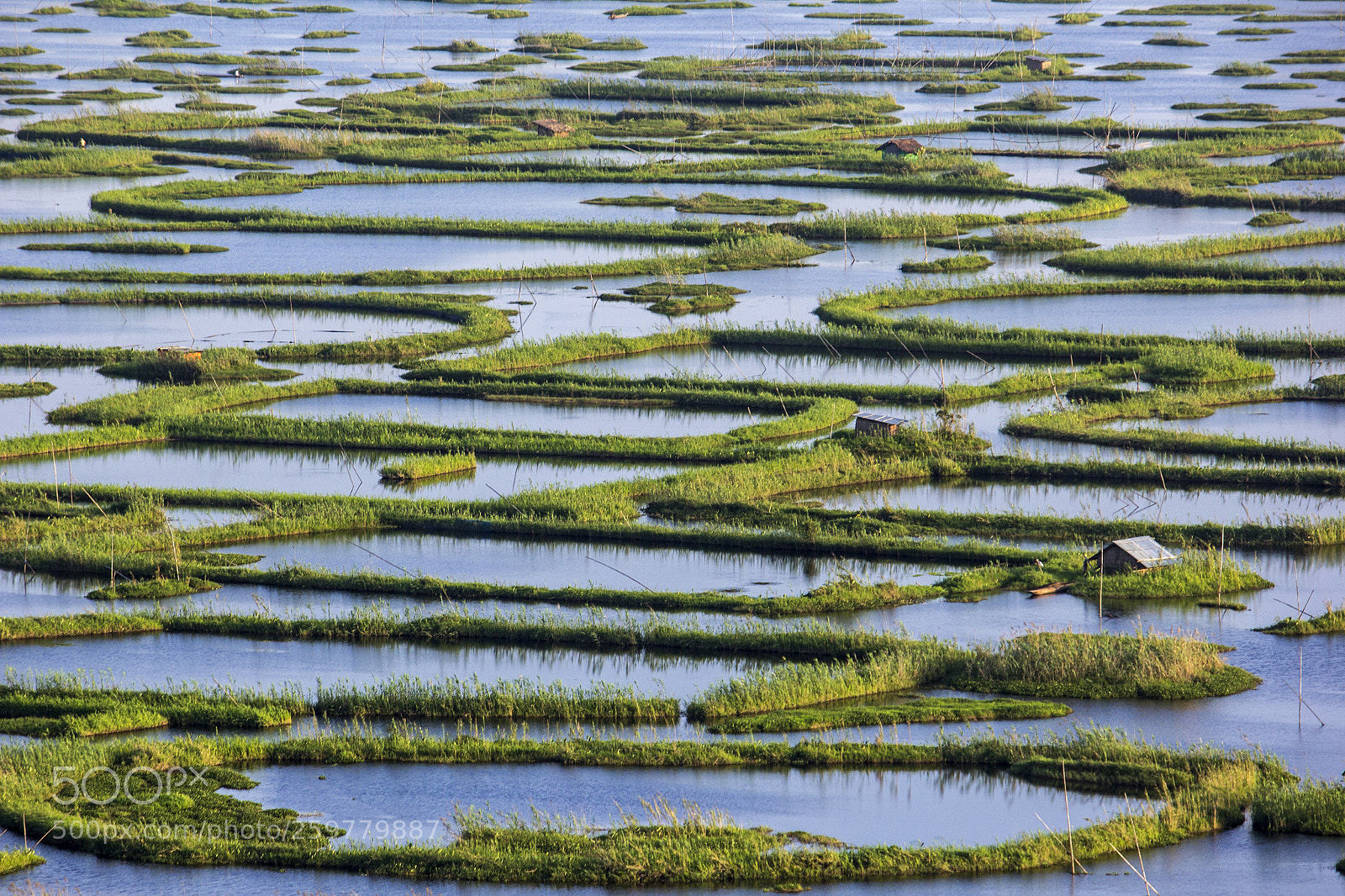 Canon EOS 60D sample photo. Loktak lake photography