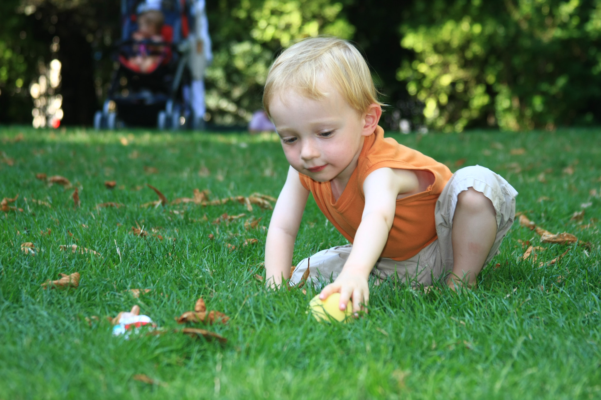 Canon EOS 40D + Canon EF 28-135mm F3.5-5.6 IS USM sample photo. Enjoy the summer photography