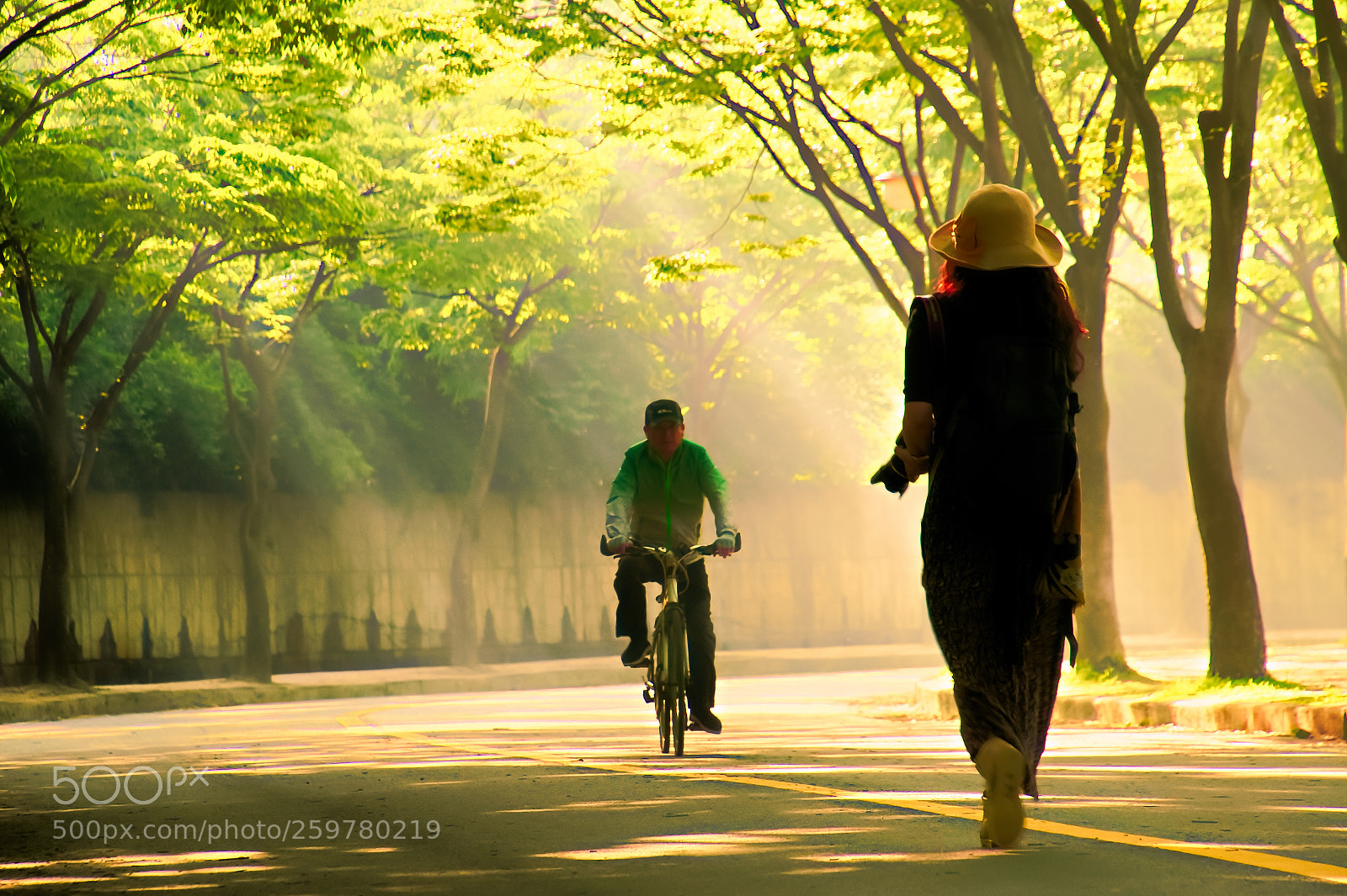 Nikon D500 sample photo. The morning of the photography