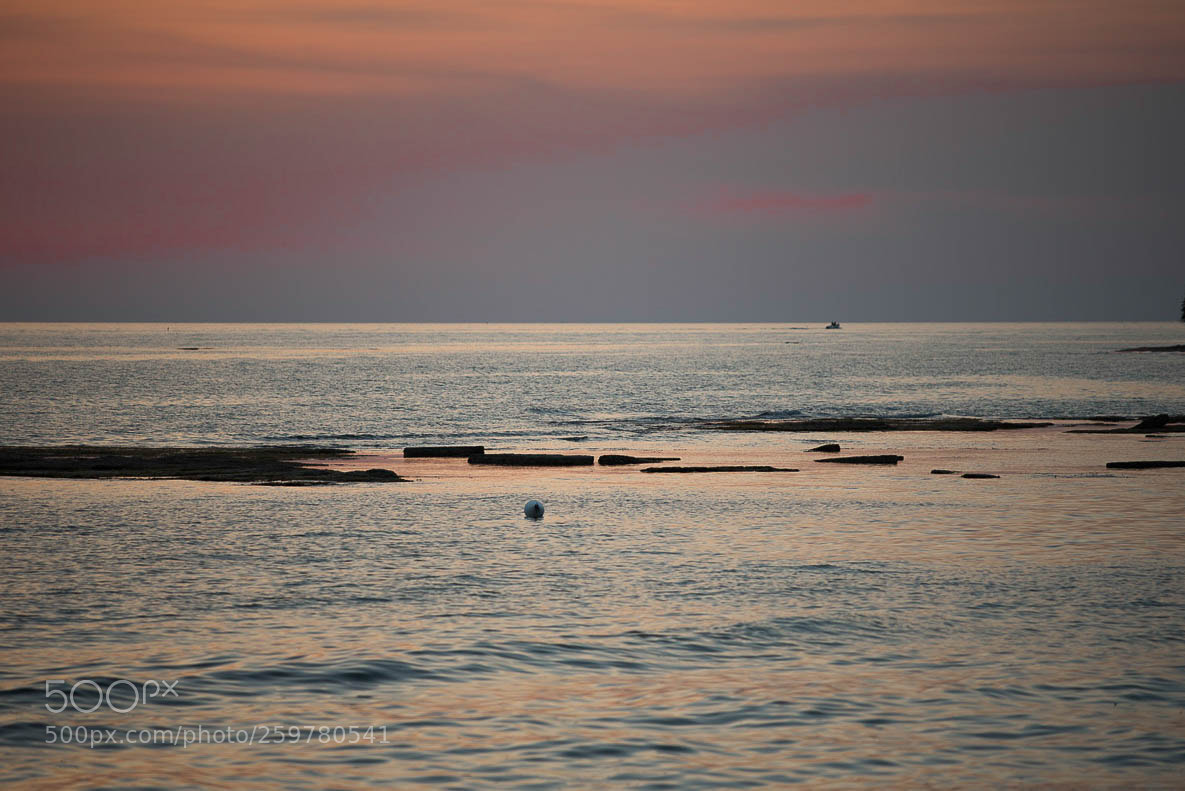 Nikon D750 sample photo. 3.jpg photography