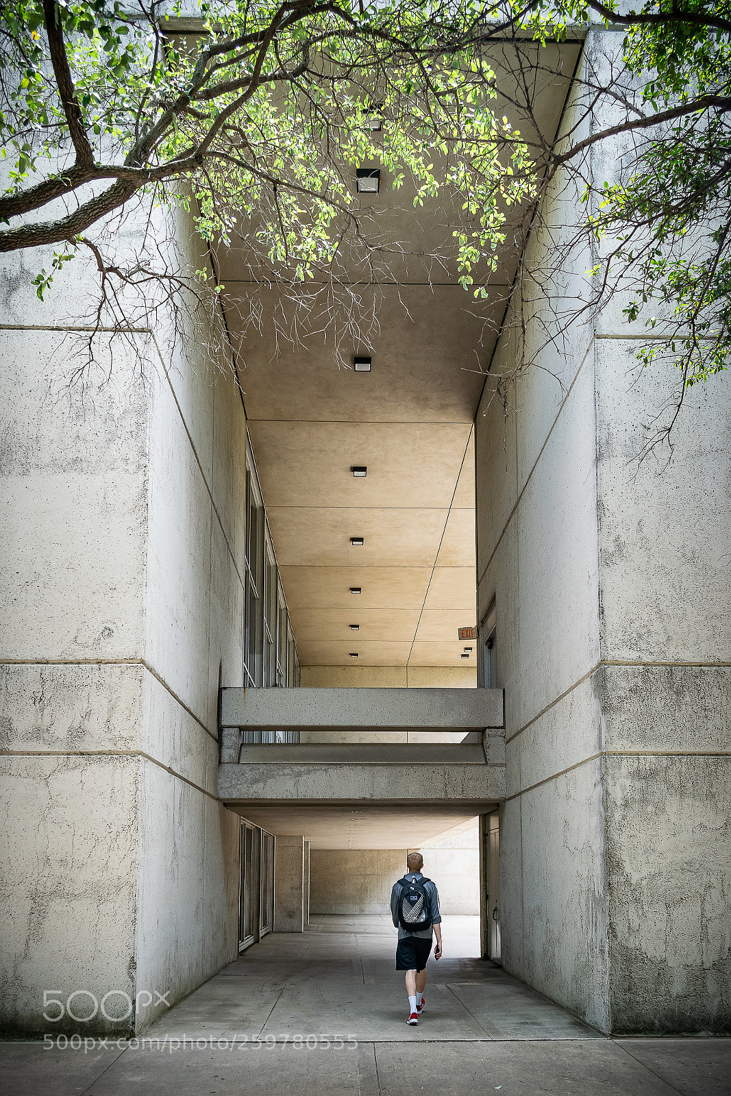 Nikon D5300 sample photo. The walker 001 photography