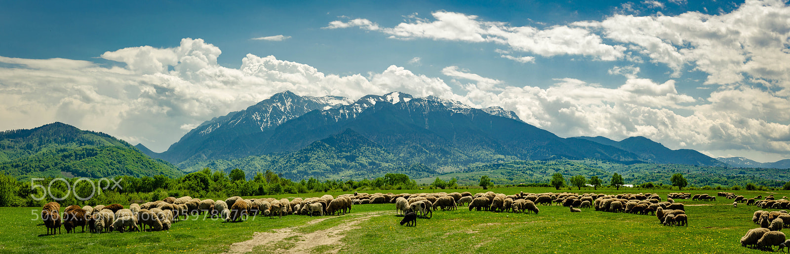 Nikon D5100 sample photo. Панорама photography