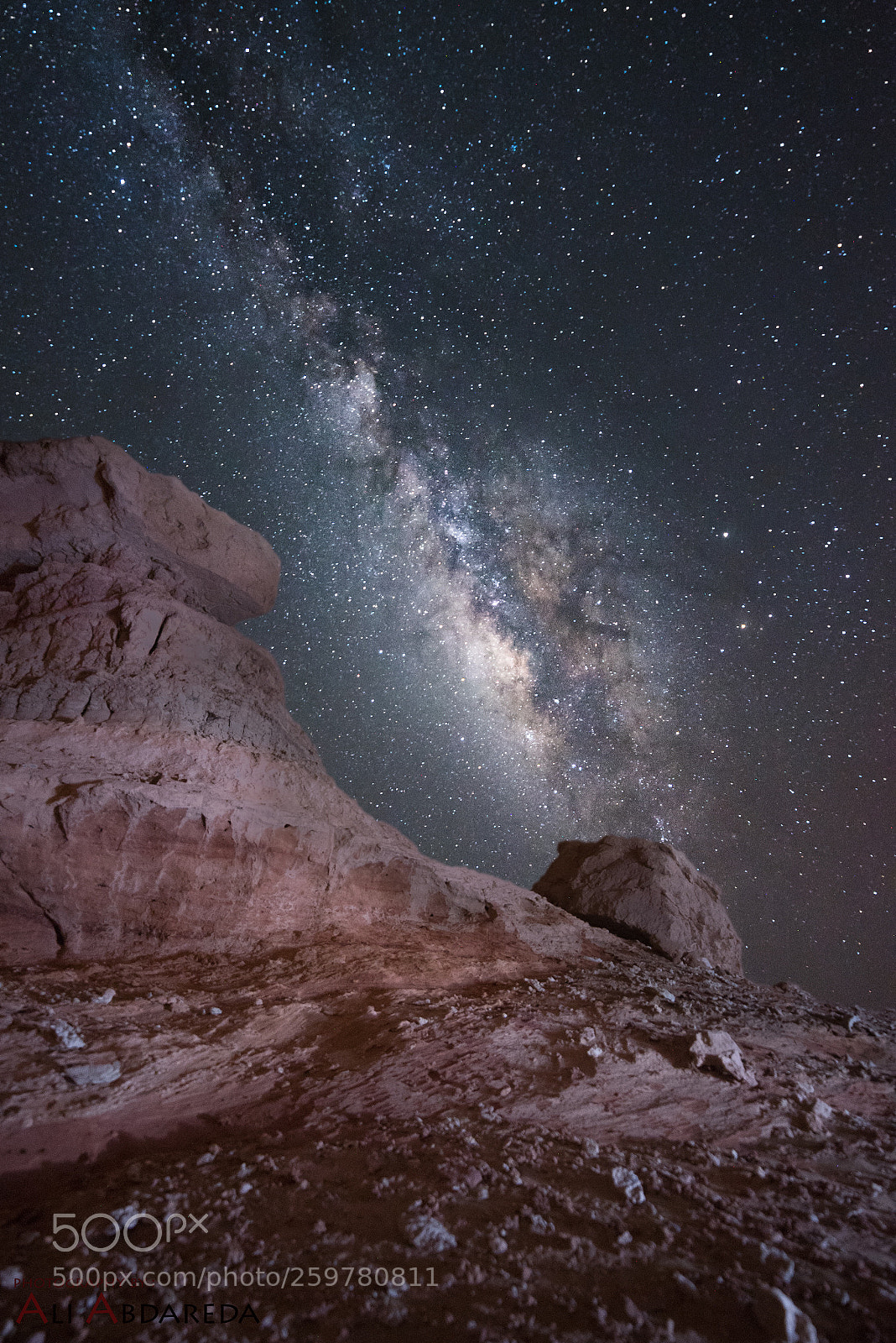 Nikon D750 sample photo. The milkyway photography
