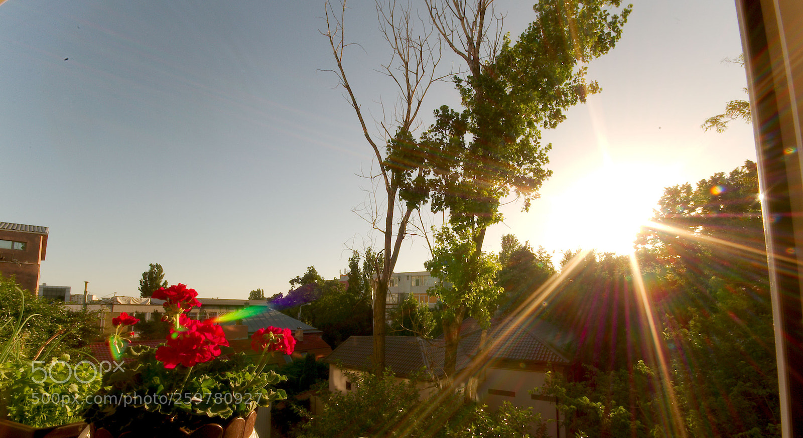 Pentax K-50 sample photo. A beatiful day... photography