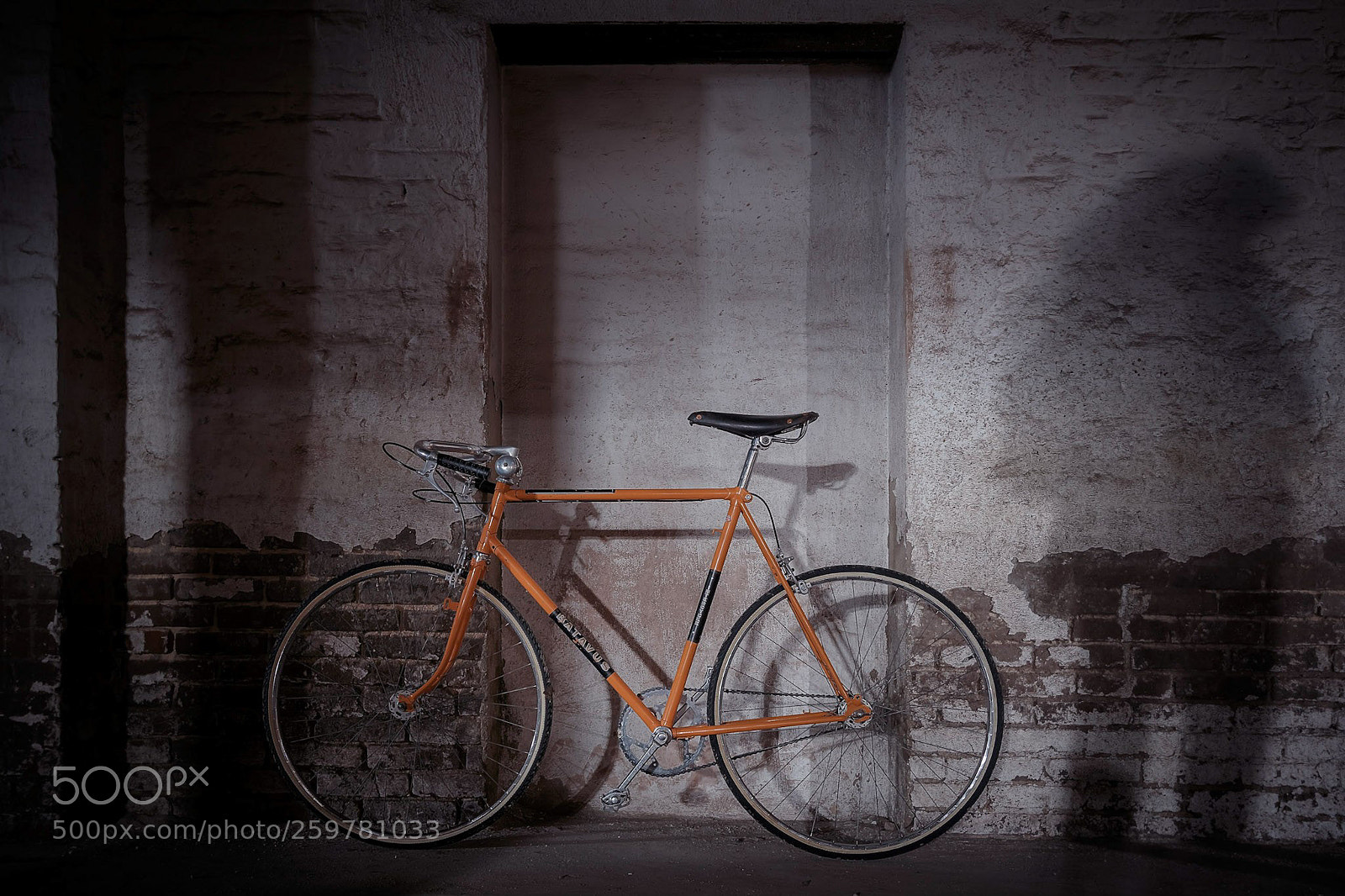 Canon EOS 70D sample photo. Bicycle & shadow photography