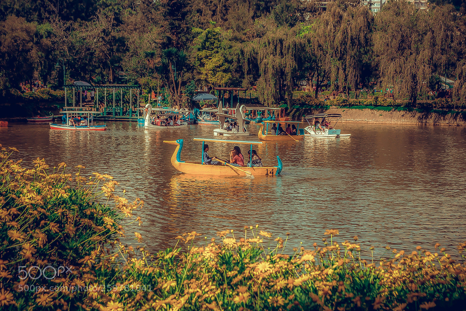 Nikon D3100 sample photo. Burnham park photography