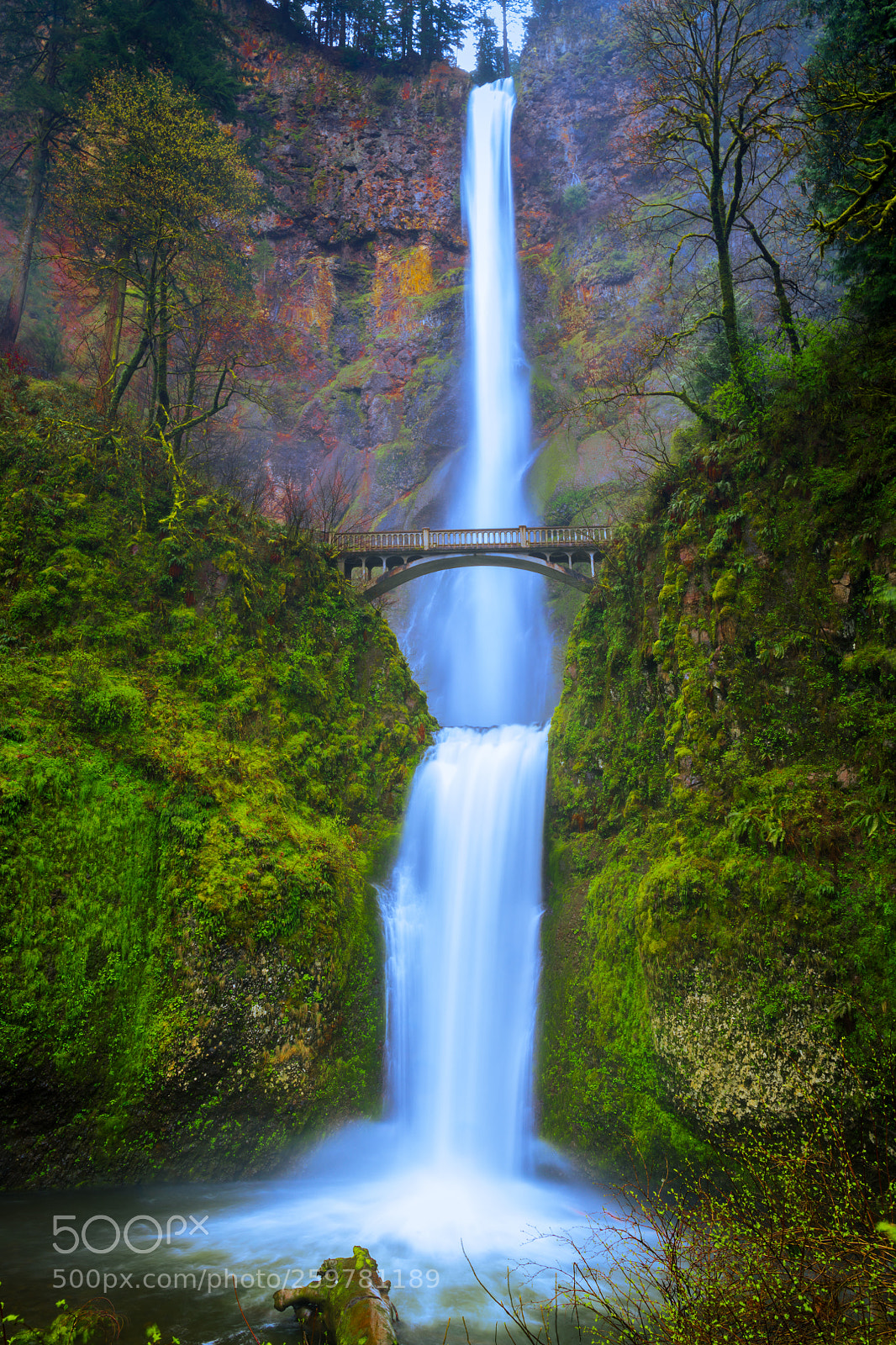 Nikon D850 sample photo. Multnomah falls in spring photography