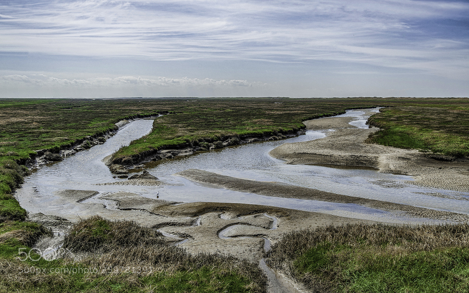 Nikon D700 sample photo. "salt marshes" photography