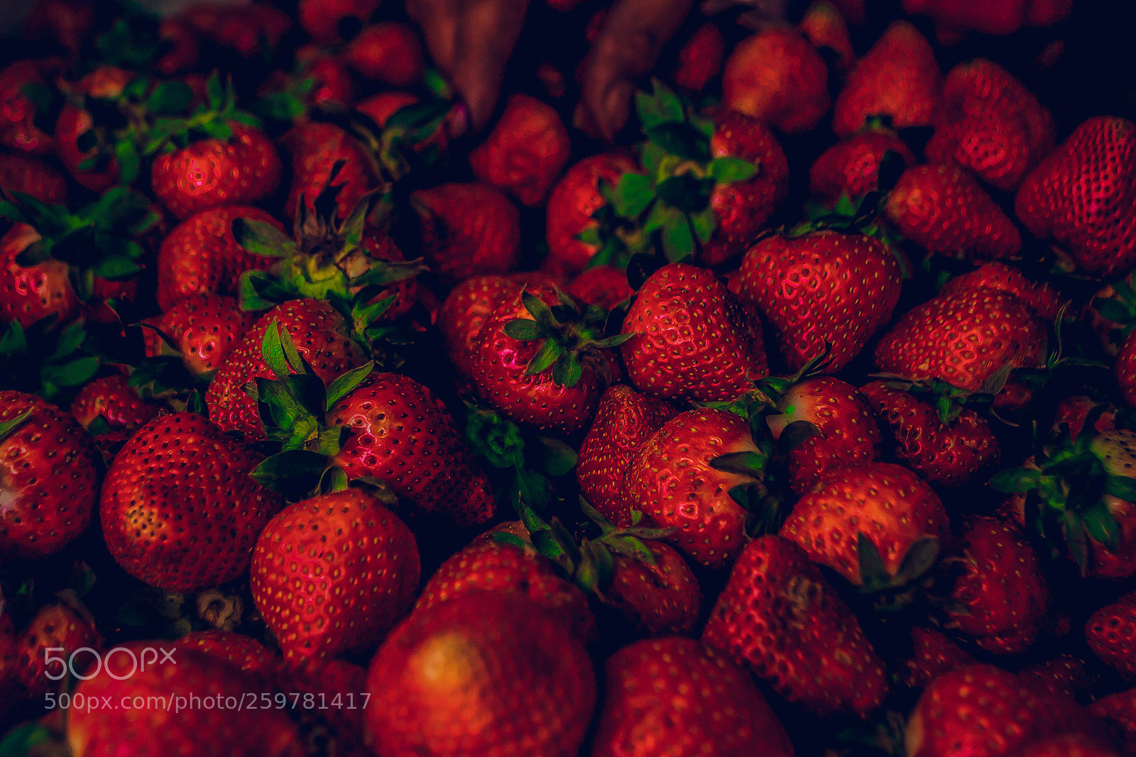 Nikon D3100 sample photo. Strawberry photography