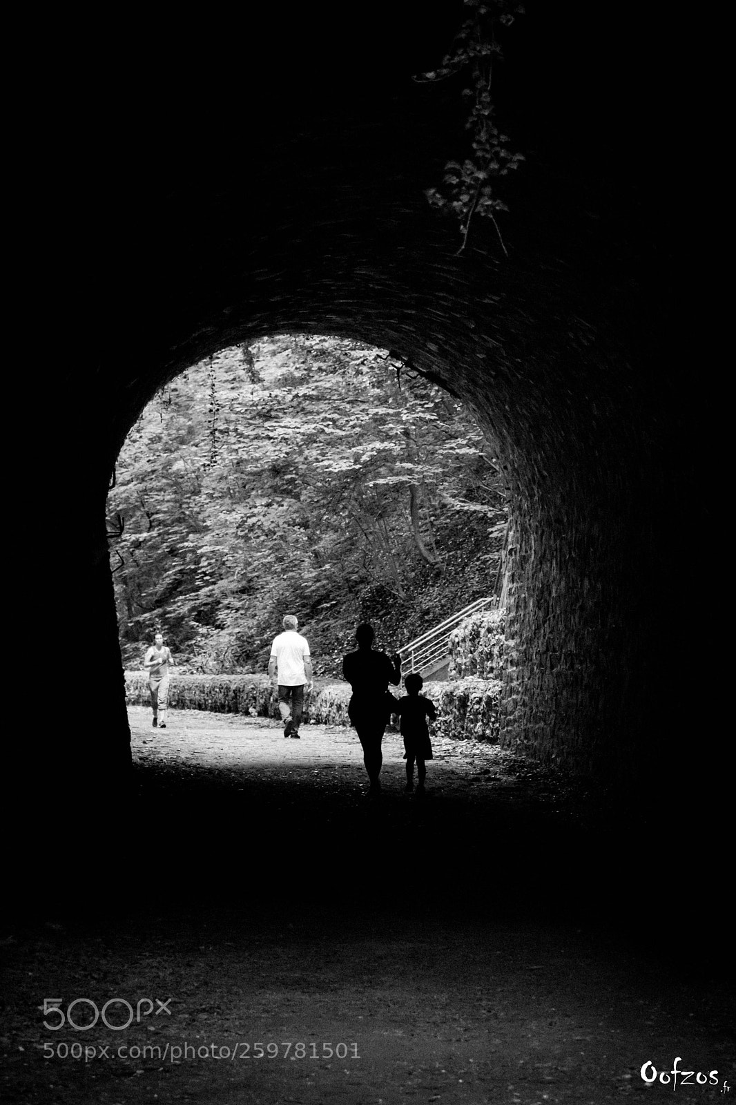Nikon D7200 sample photo. Tunnel on old tramway photography