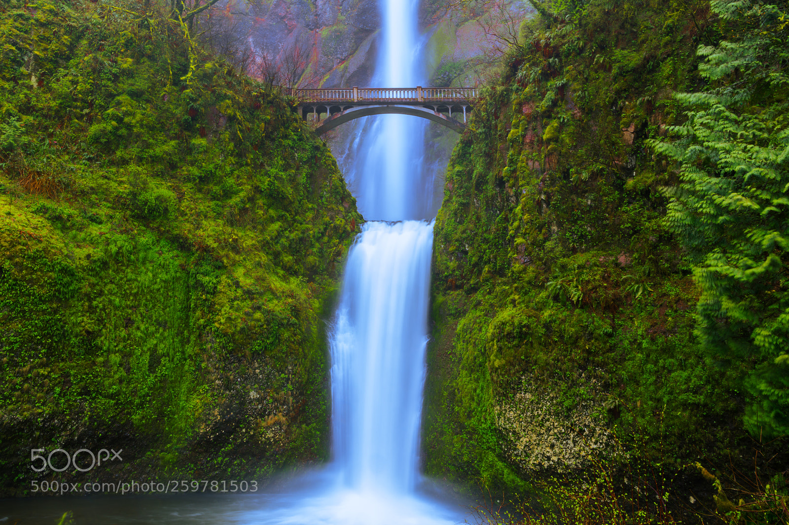 Nikon D850 sample photo. Multnomah falls in spring photography