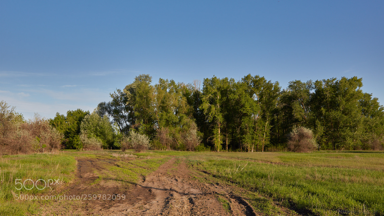 Canon EOS 6D sample photo. The volga-akhtuba floodplain photography