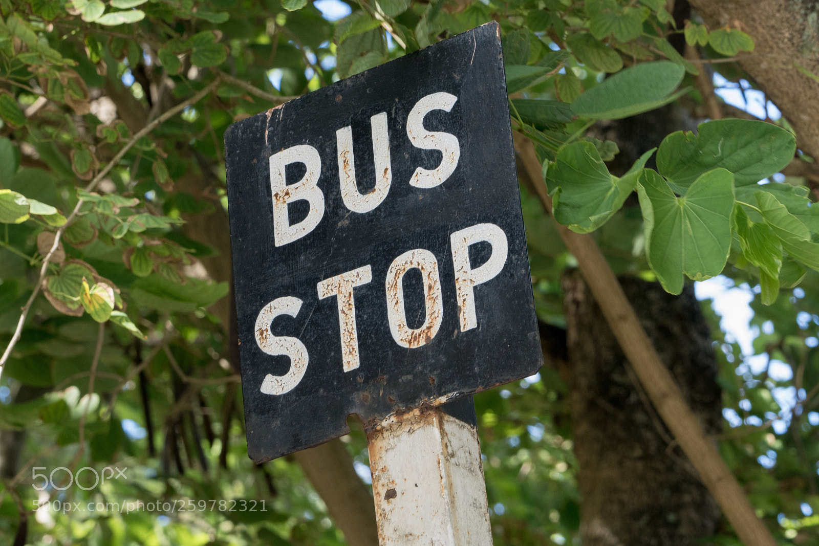 Sony a7R II sample photo. Mauritius photography