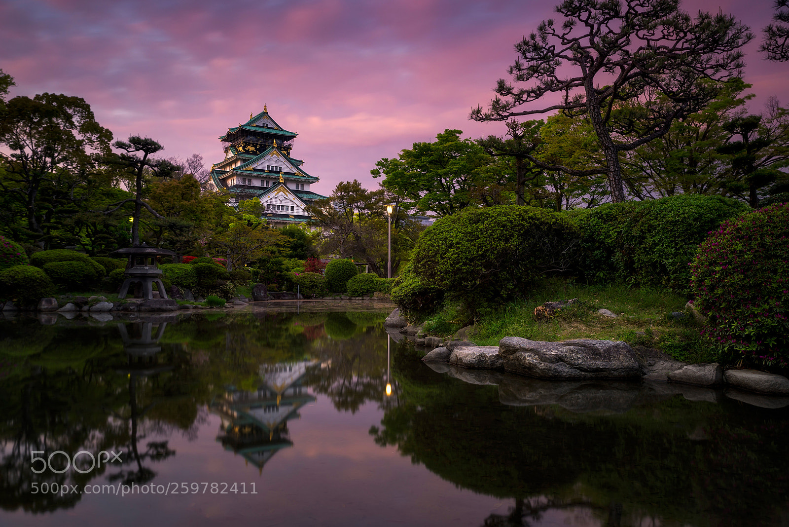 Nikon D610 sample photo. Osaka castle pink sunset photography