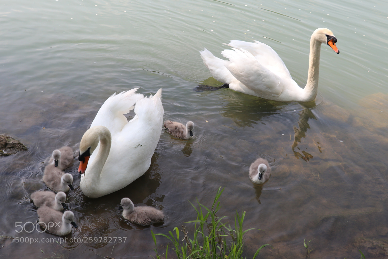 Canon EOS 80D sample photo. ...family... photography