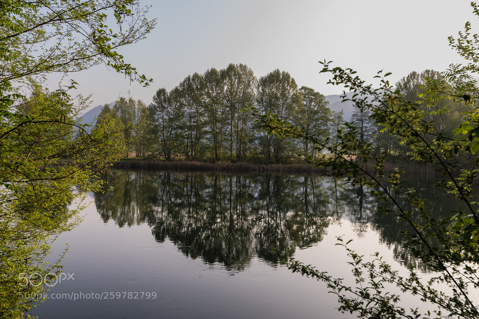 Nikon D5300 sample photo. Natural mirror photography