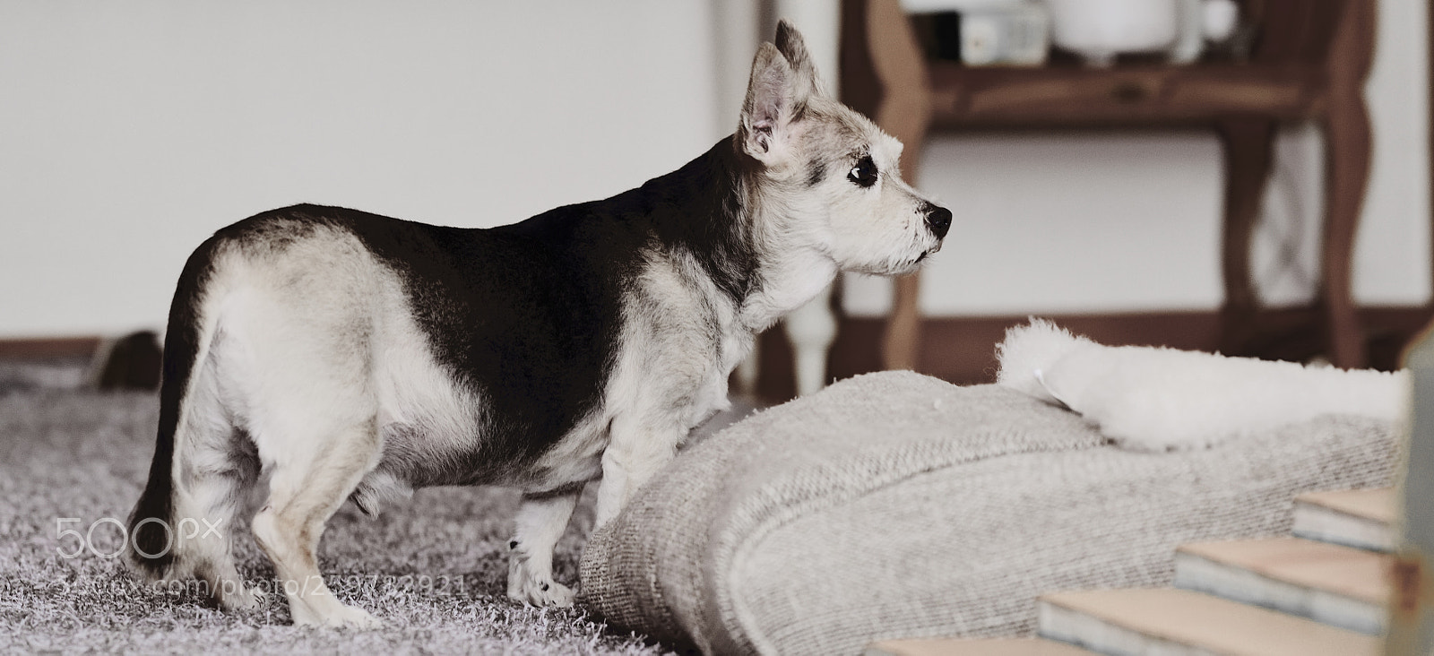 Nikon D850 sample photo. 850_2247_00001.jpg photography