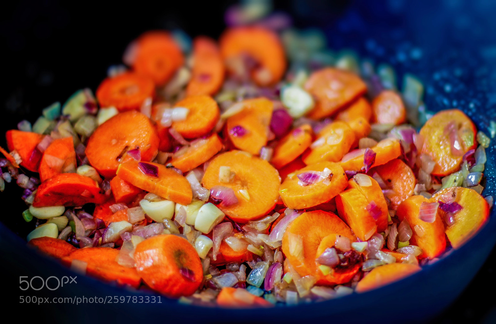 Canon EOS 550D (EOS Rebel T2i / EOS Kiss X4) sample photo. Carrot with red onion photography