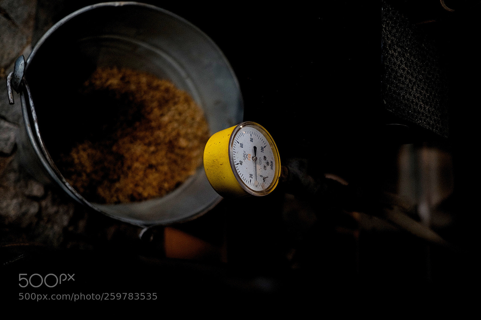 Fujifilm X-T10 sample photo. Yellow photography