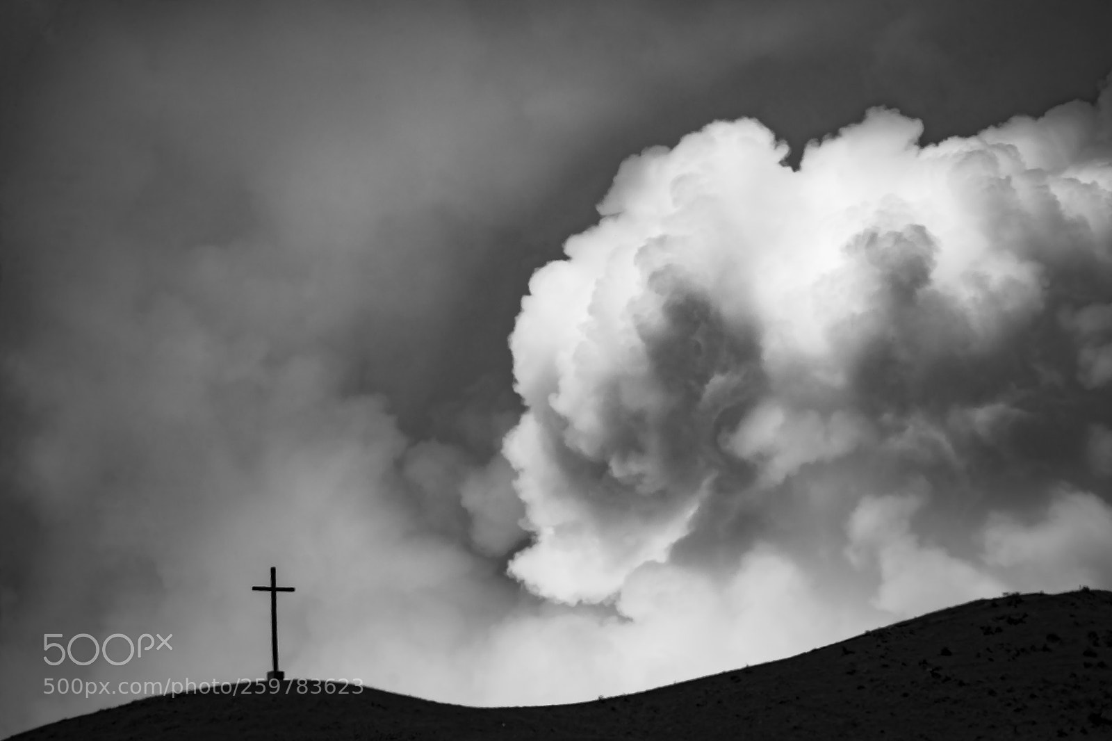 Nikon D610 sample photo. Dramatic photography