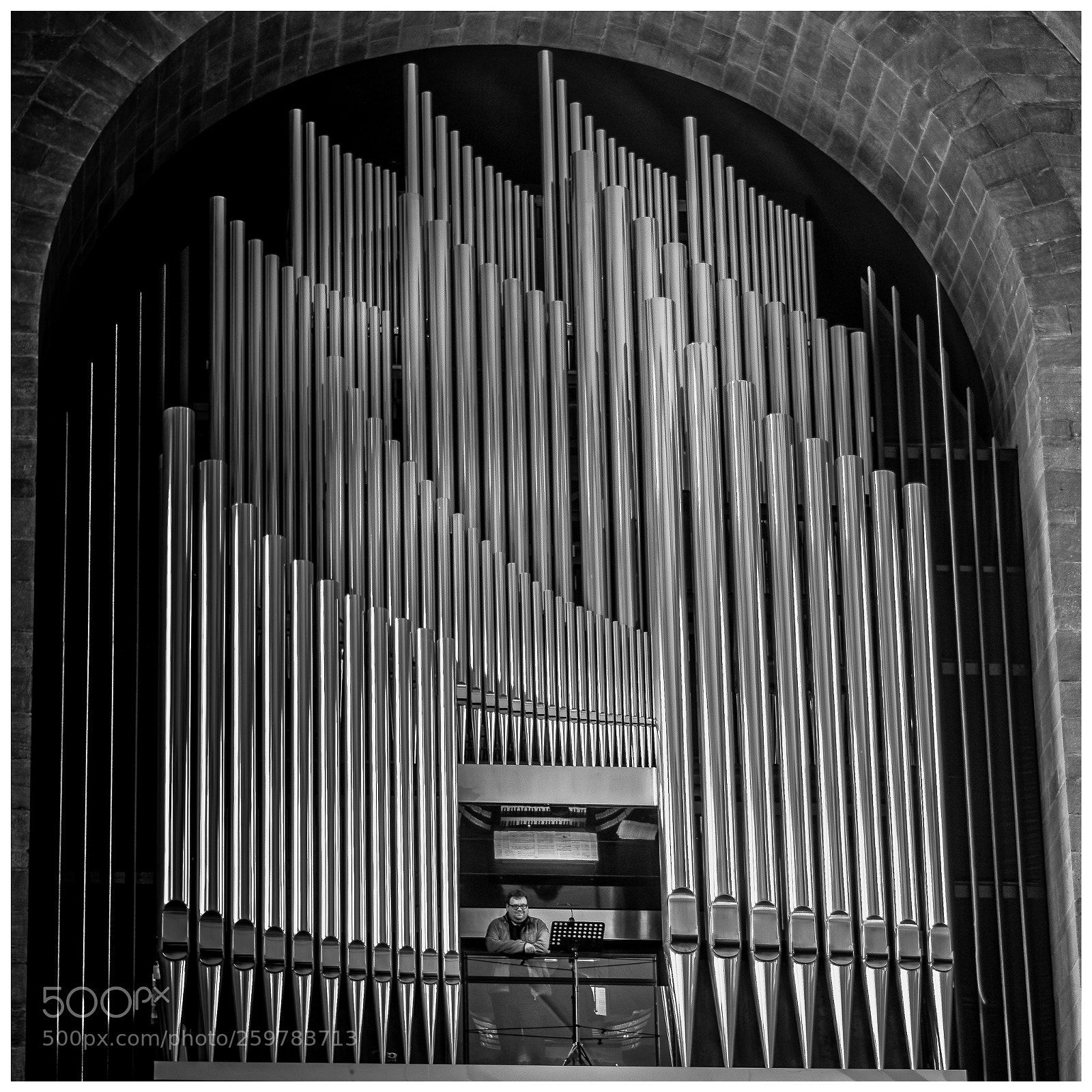 Nikon D810 sample photo. Master of the pipes photography