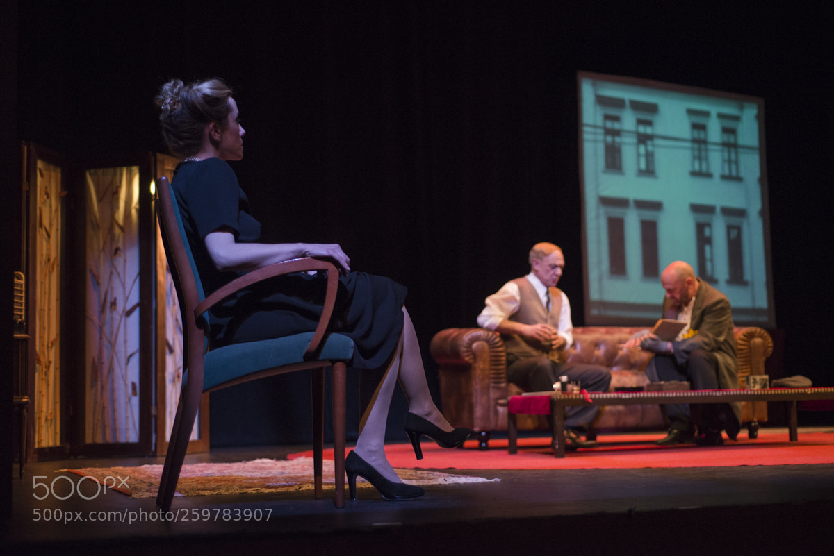 Nikon D610 sample photo. Shakespeare en berlín photography