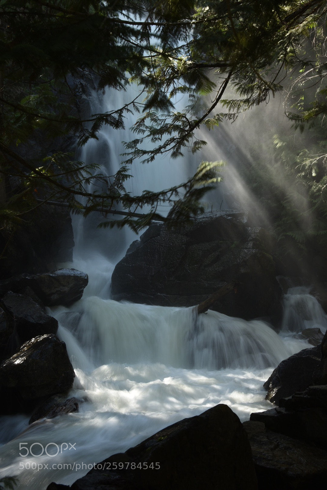Nikon D750 sample photo. Falls creek photography