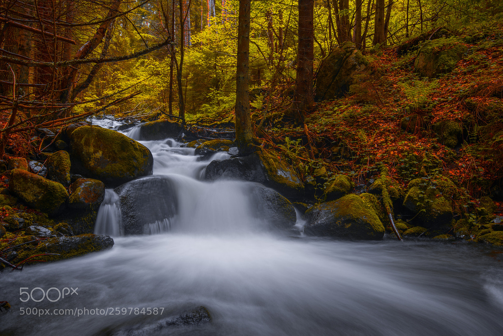 Nikon D810 sample photo. Waterfall photography
