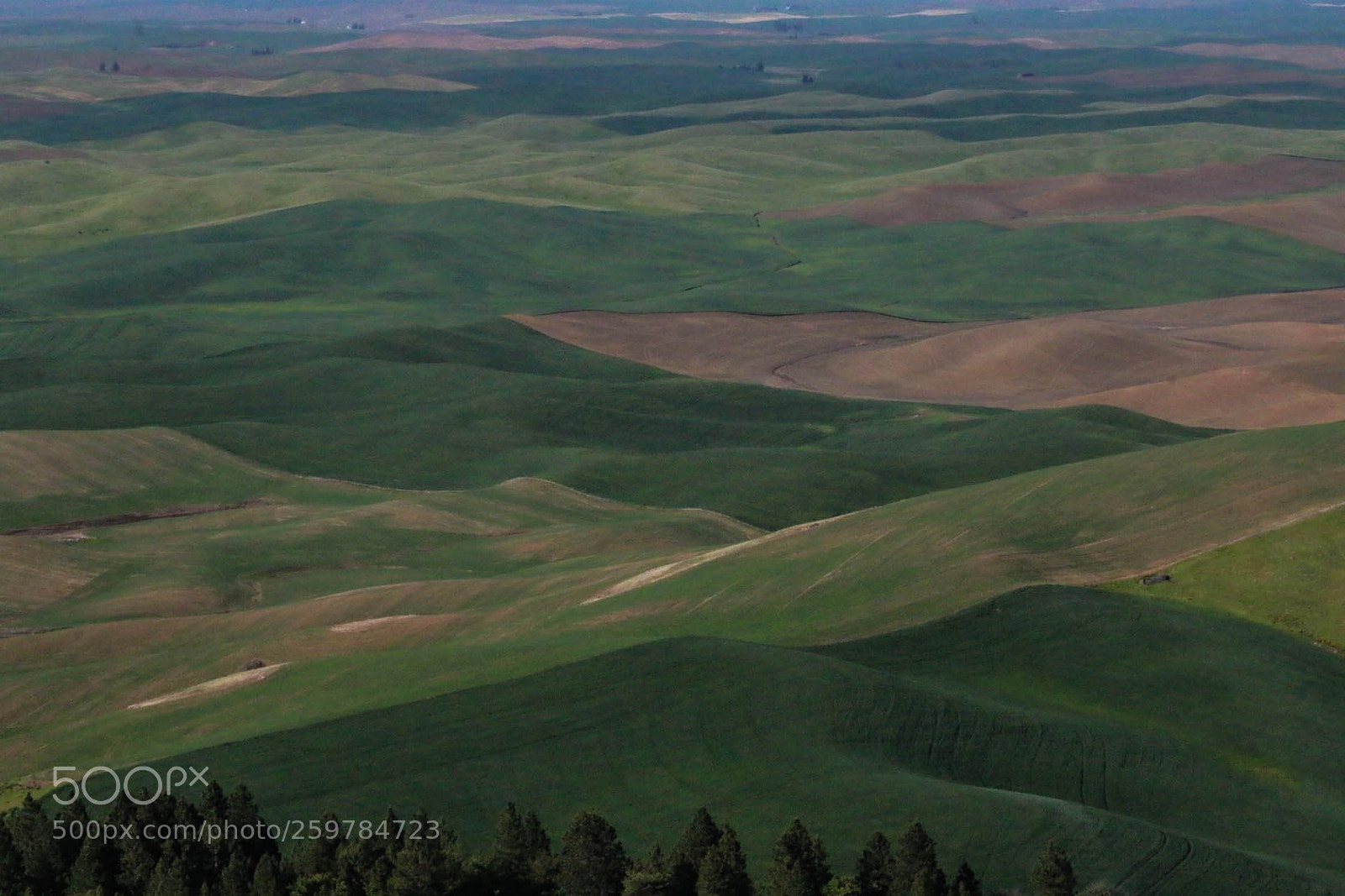 Canon EOS 70D sample photo. Rolling hills of palouse photography