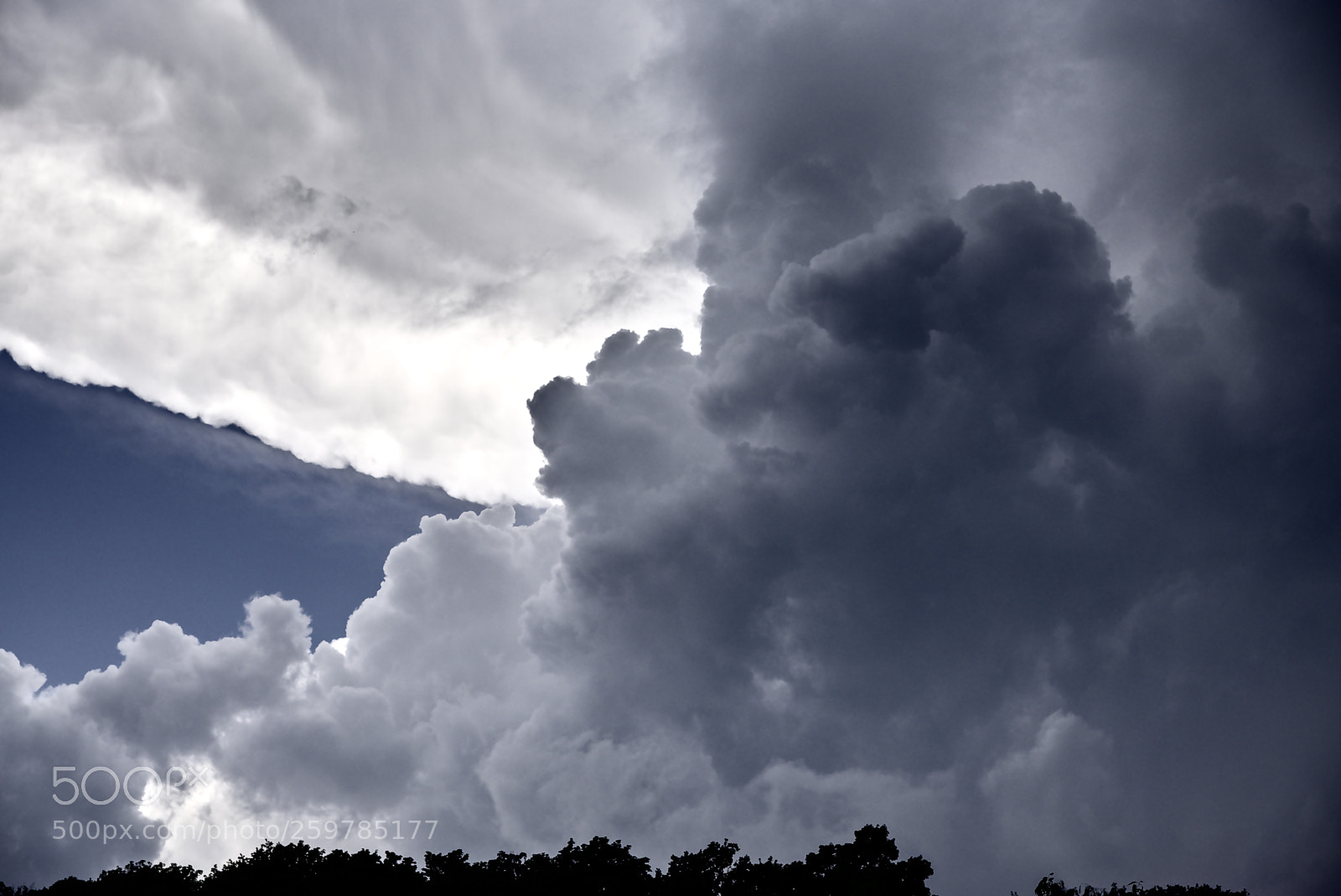 Nikon D750 sample photo. Cloud1 photography