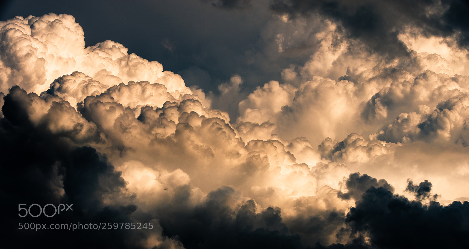 Nikon D810 sample photo. Powerful nature photography