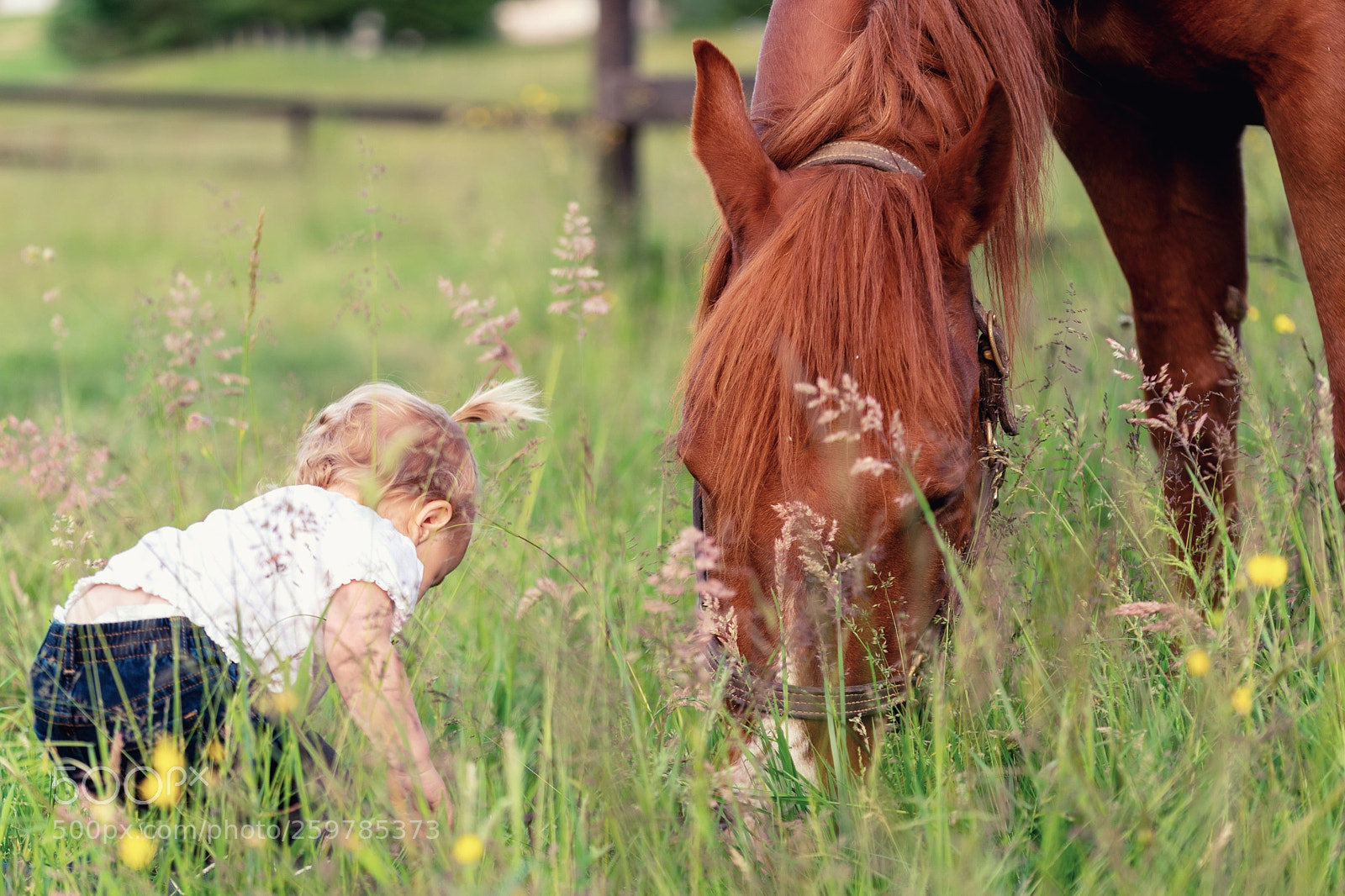 Sony a7 II sample photo. Young rider photography