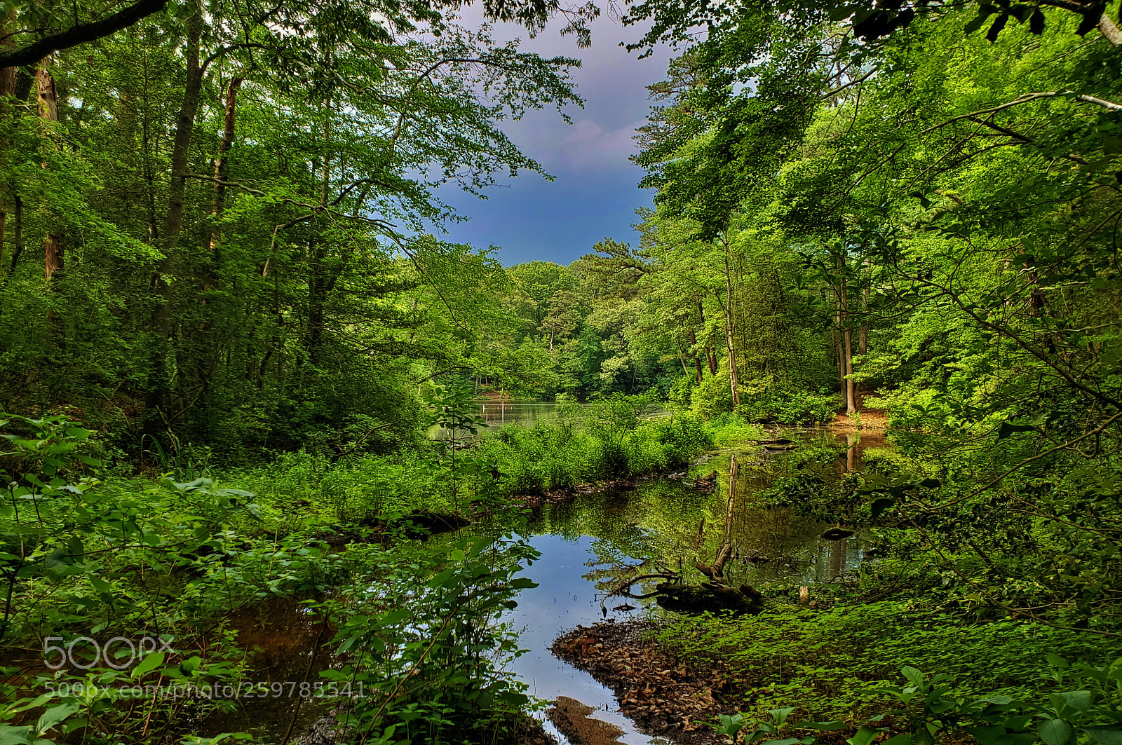 Samsung Galaxy S9+ sample photo. Lake waterford stream 2018 photography