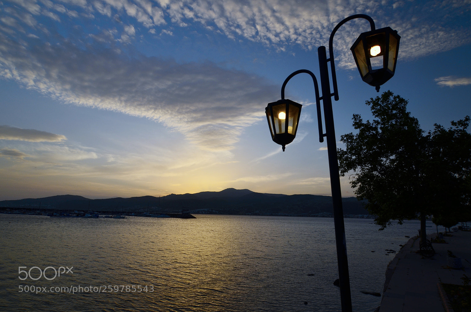 Nikon D5100 sample photo. Street lamp photography