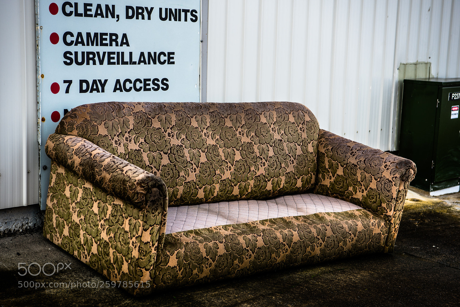 Nikon D750 sample photo. Couch photography