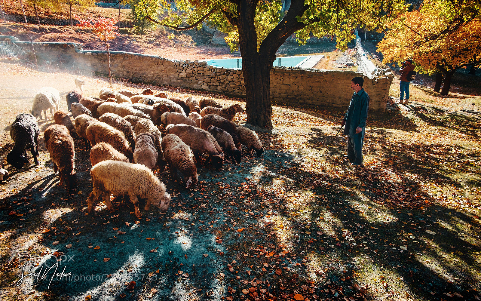 Fujifilm X-T10 sample photo. A shepherd with his photography