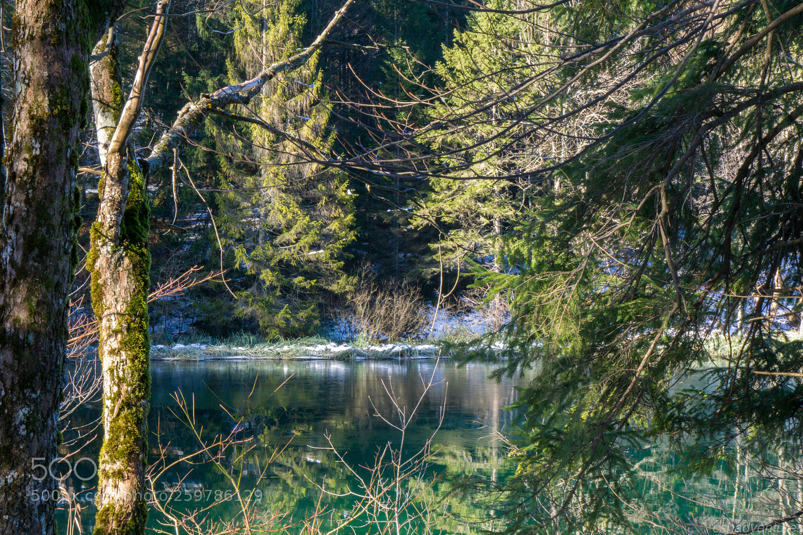 Sony a6000 sample photo. Mother nature photography