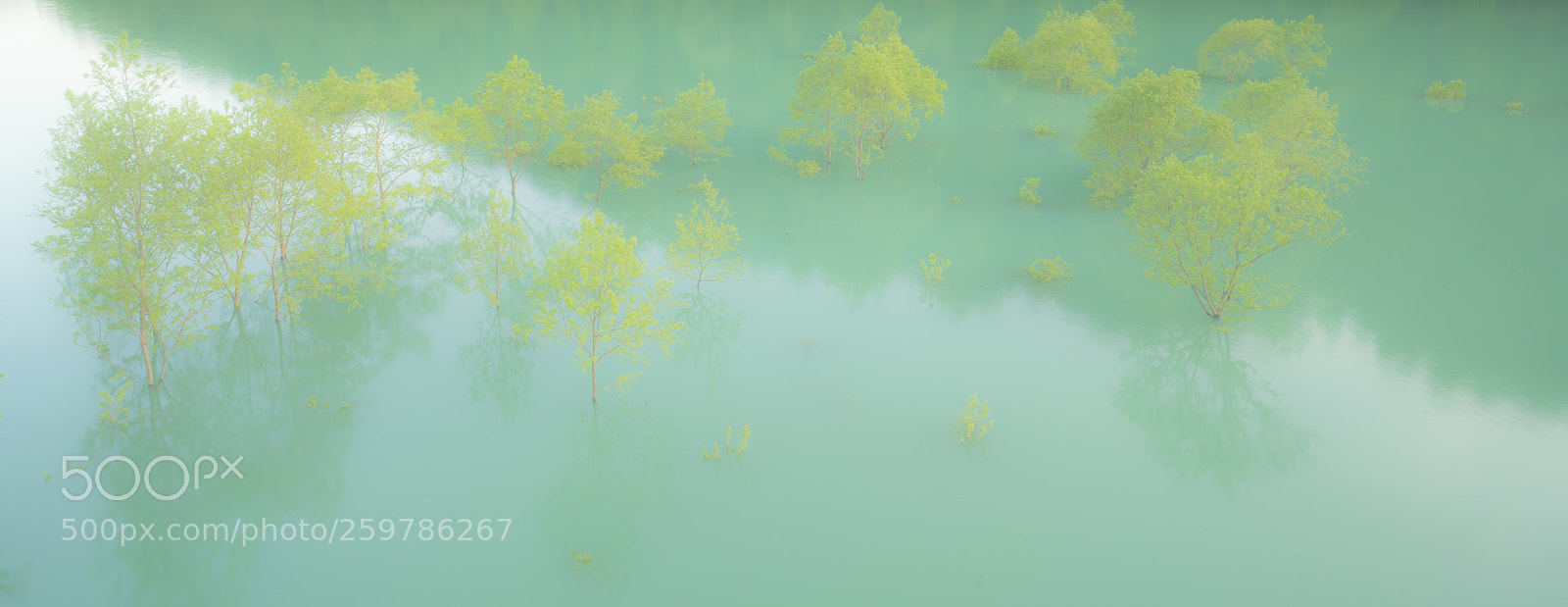 Sony a7R II sample photo. Green lake photography