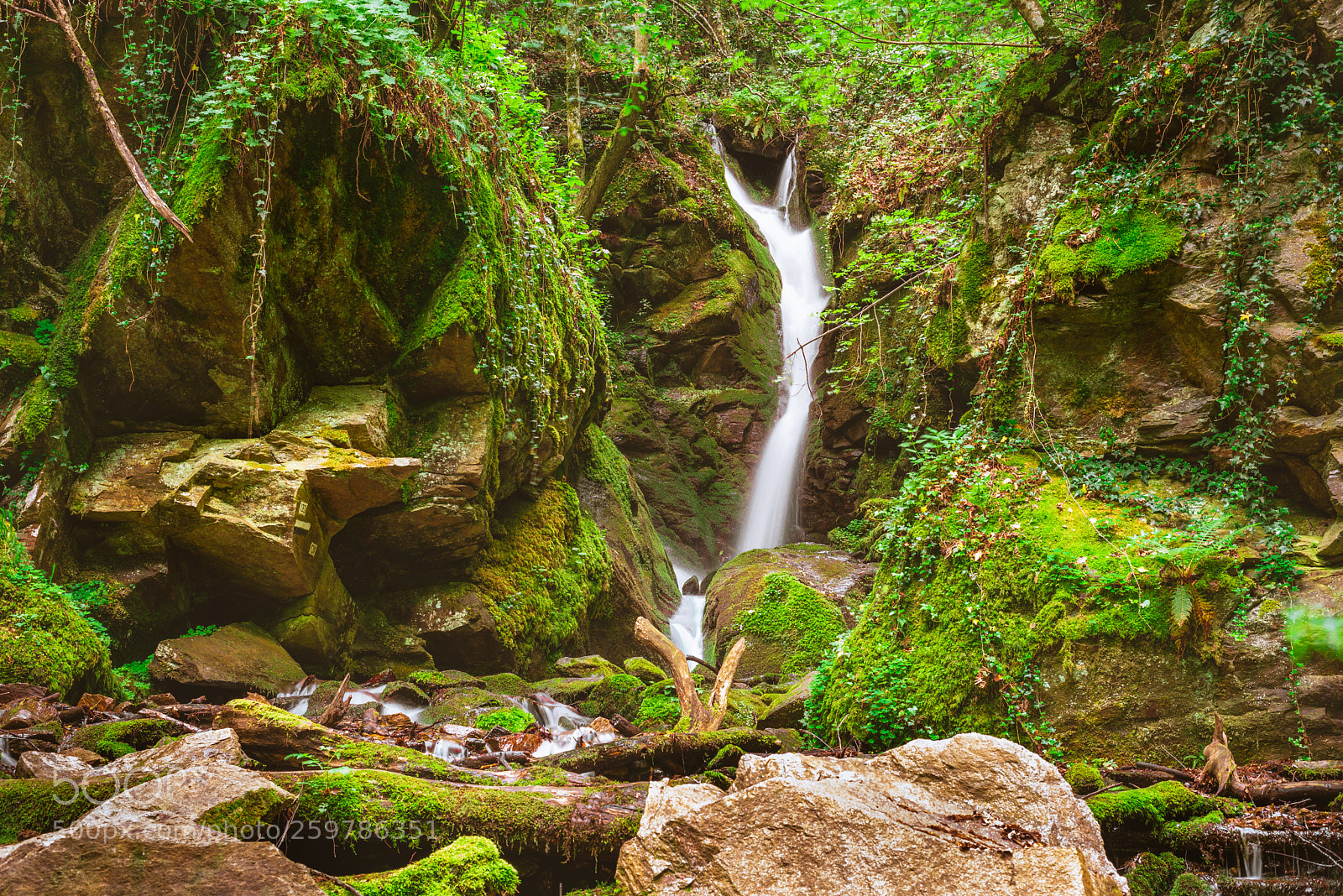Nikon D750 sample photo. Leshnishki waterfall photography