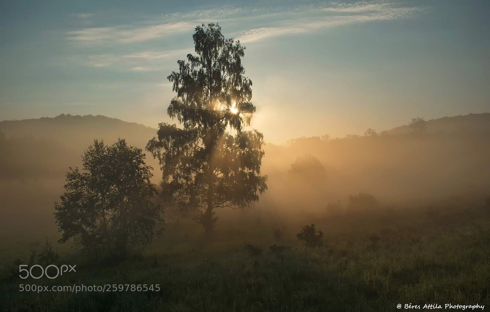 Nikon D3300 sample photo. Misty sunrise photography