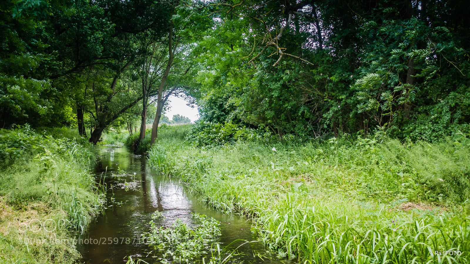 Sony DSC-RX100M5 sample photo. Kis patak photography