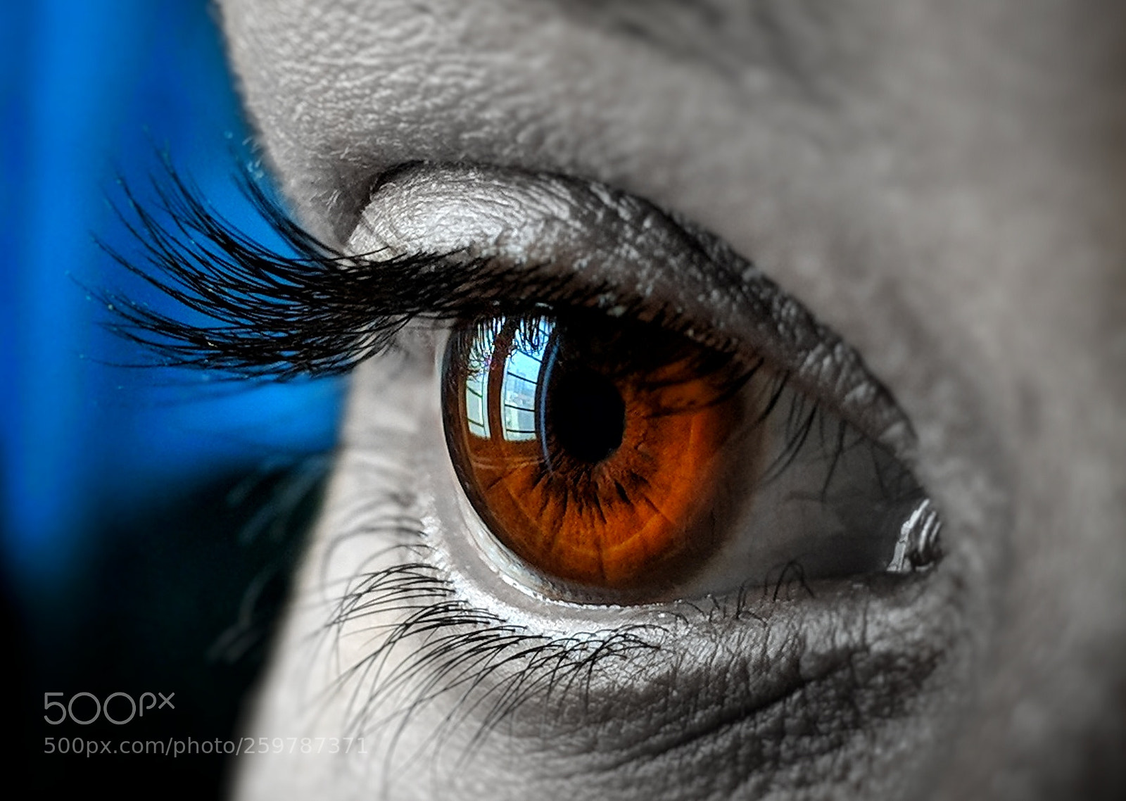 Google Pixel 2 sample photo. .eye. photography
